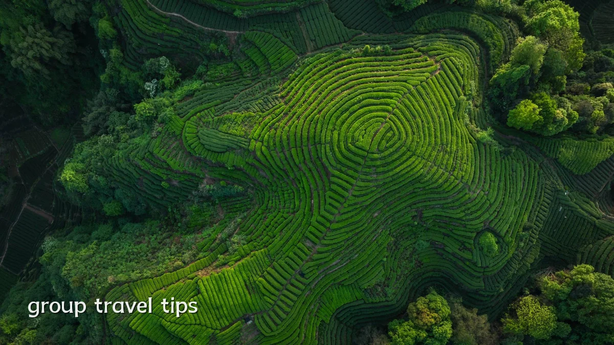 group travel tips