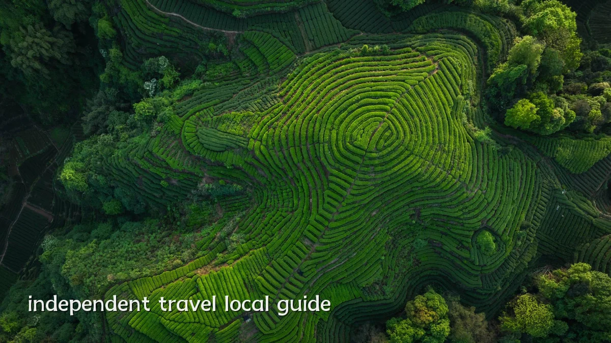 independent travel local guide