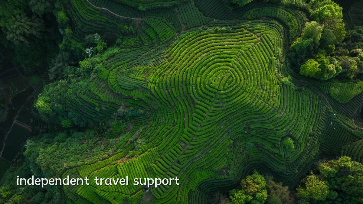 independent travel support