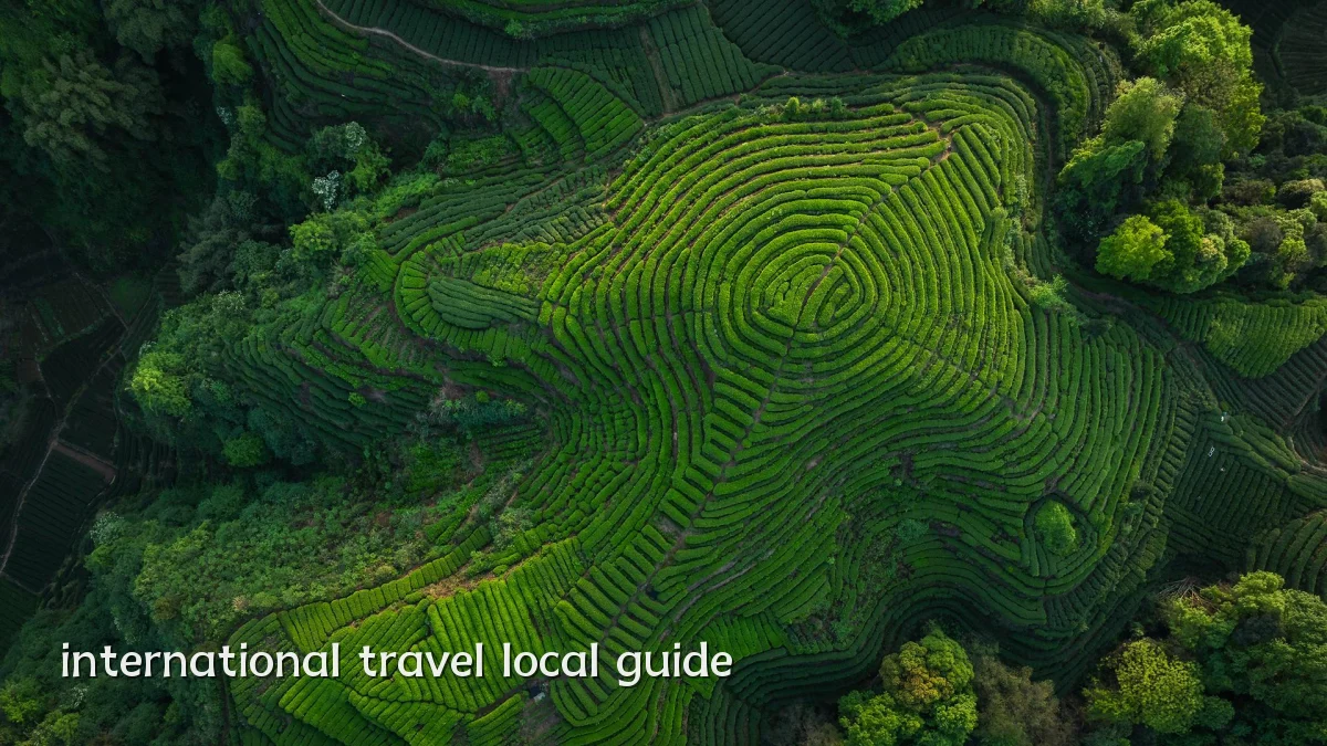 international travel local guide