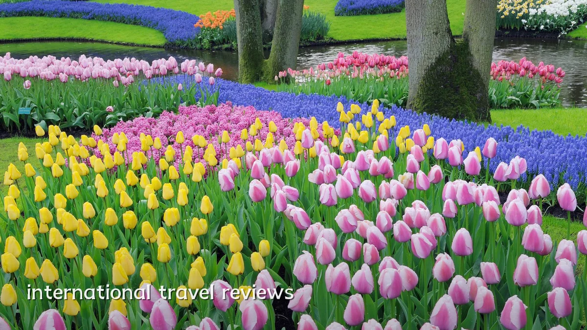 international travel reviews