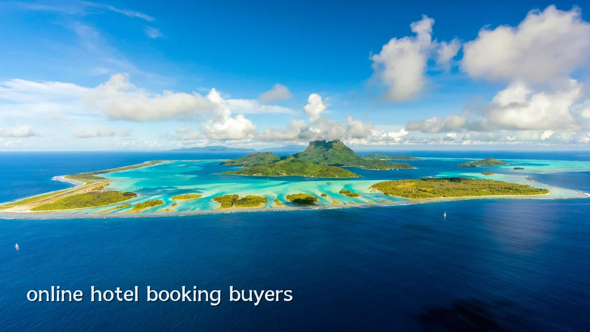 online hotel booking buyers
