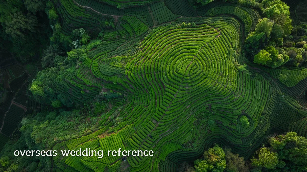 overseas wedding reference