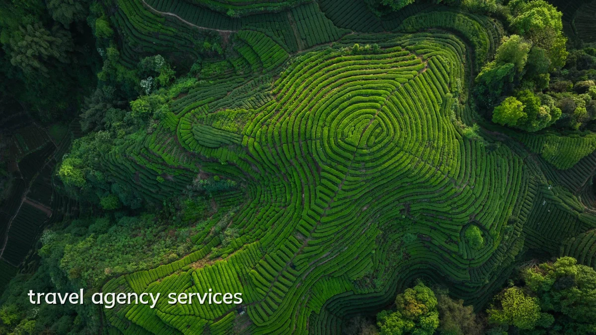 travel agency services