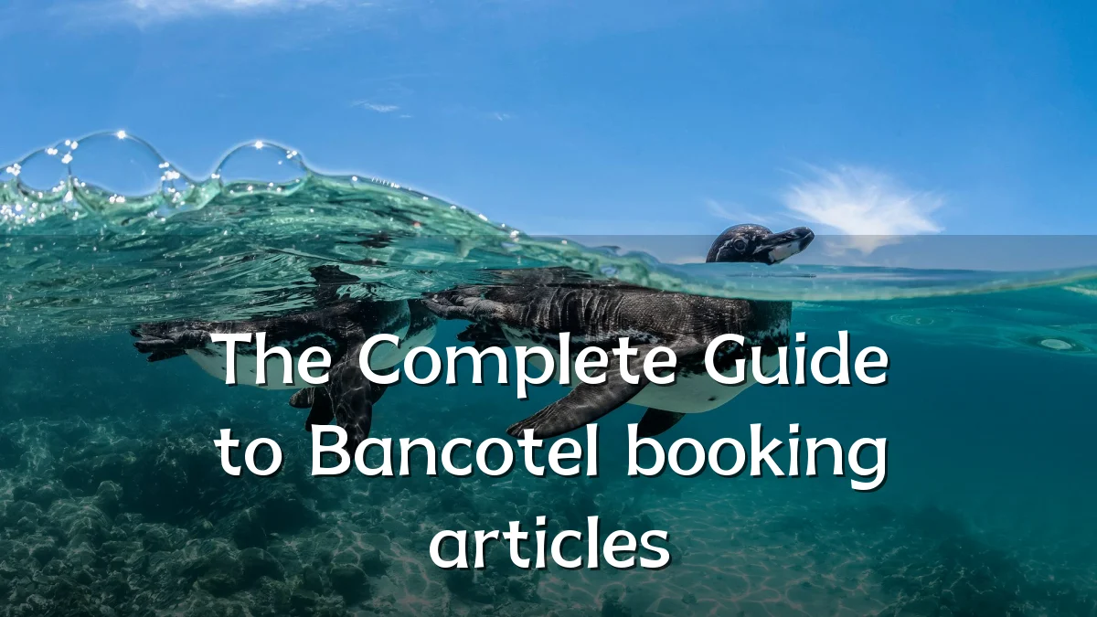 The Complete Guide to Bancotel booking articles