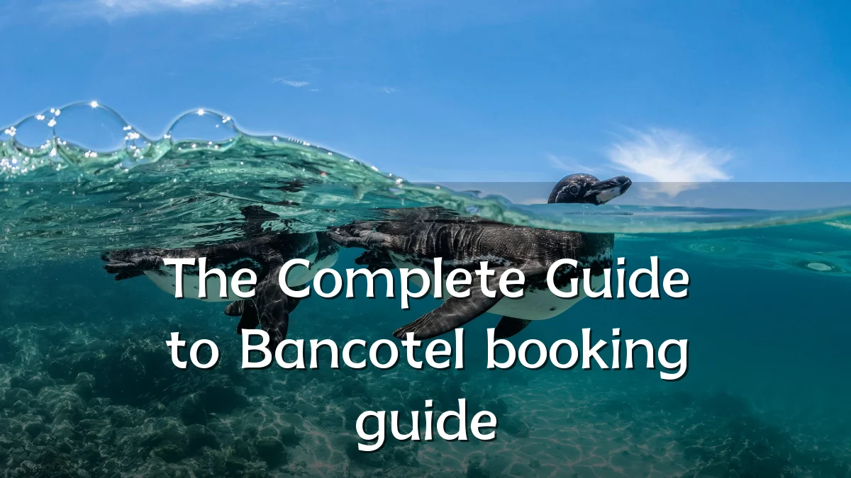 The Complete Guide to Bancotel booking guide