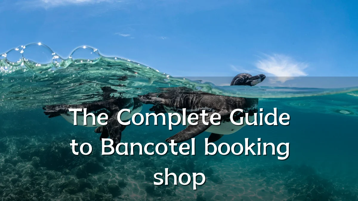 The Complete Guide to Bancotel booking shop