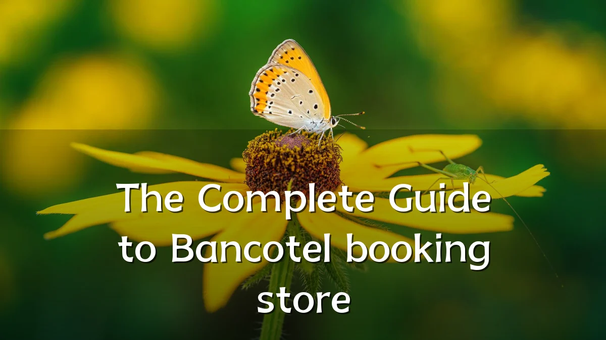 The Complete Guide to Bancotel booking store