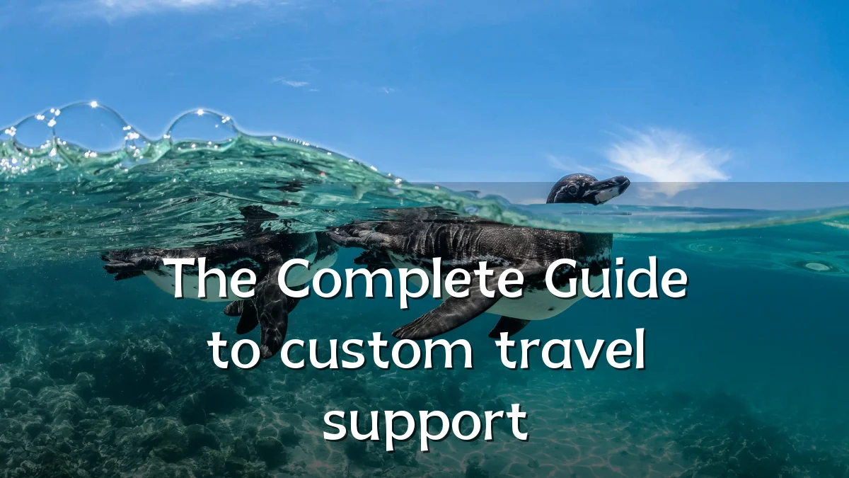 The Complete Guide to custom travel support