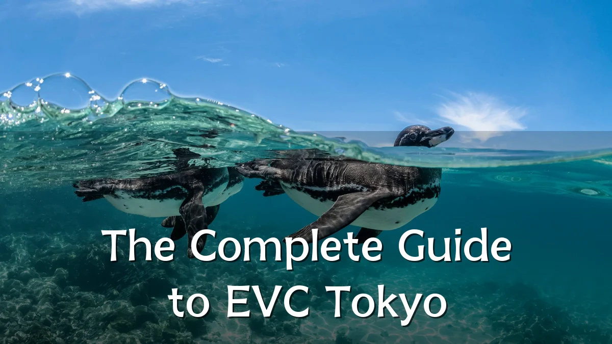The Complete Guide to EVC Tokyo