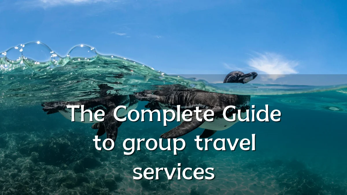 The Complete Guide to group travel services