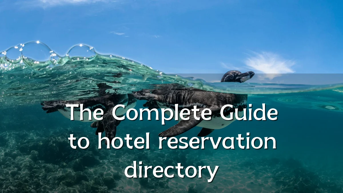 The Complete Guide to hotel reservation directory