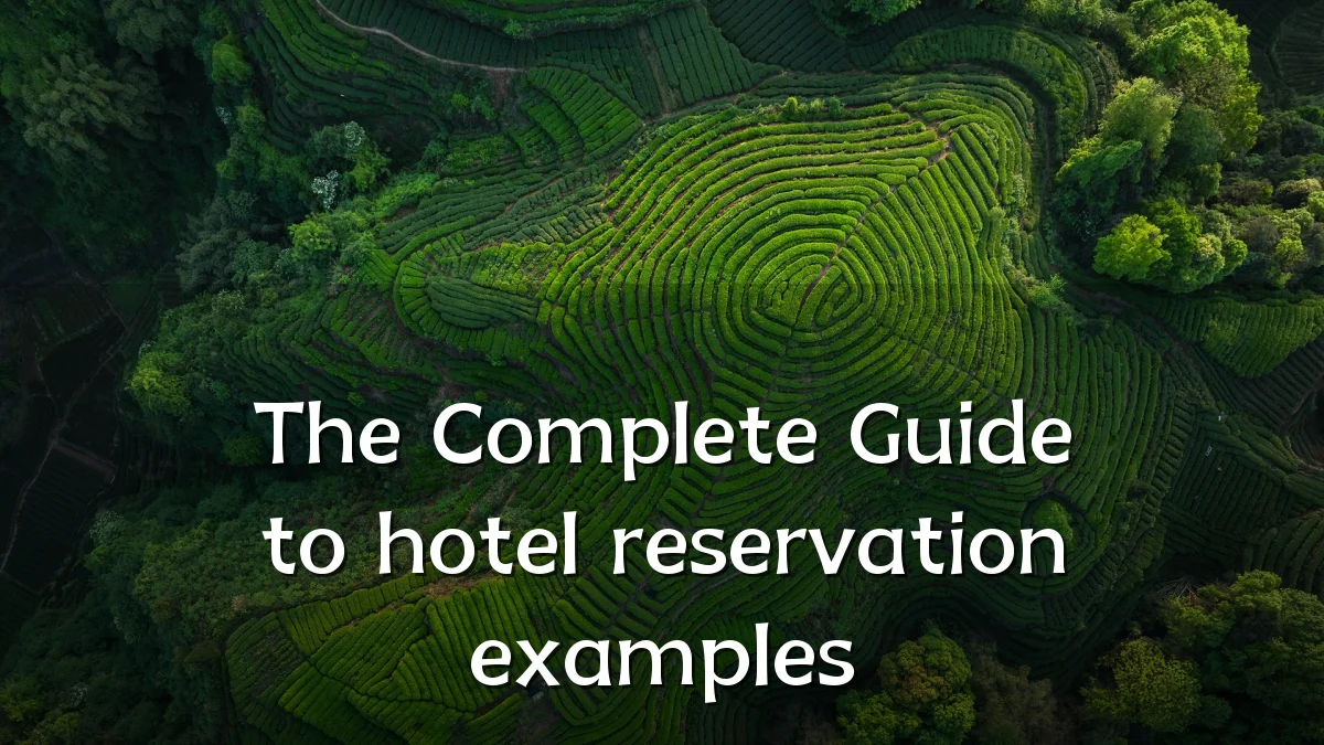 The Complete Guide to hotel reservation examples