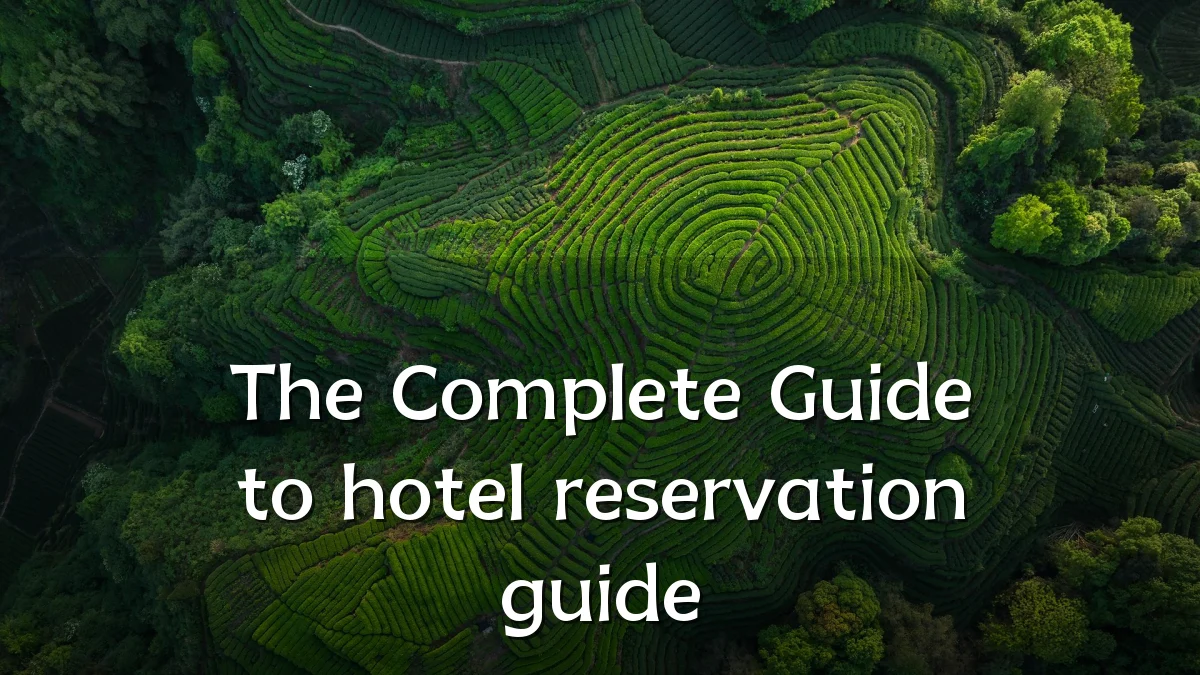 The Complete Guide to hotel reservation guide