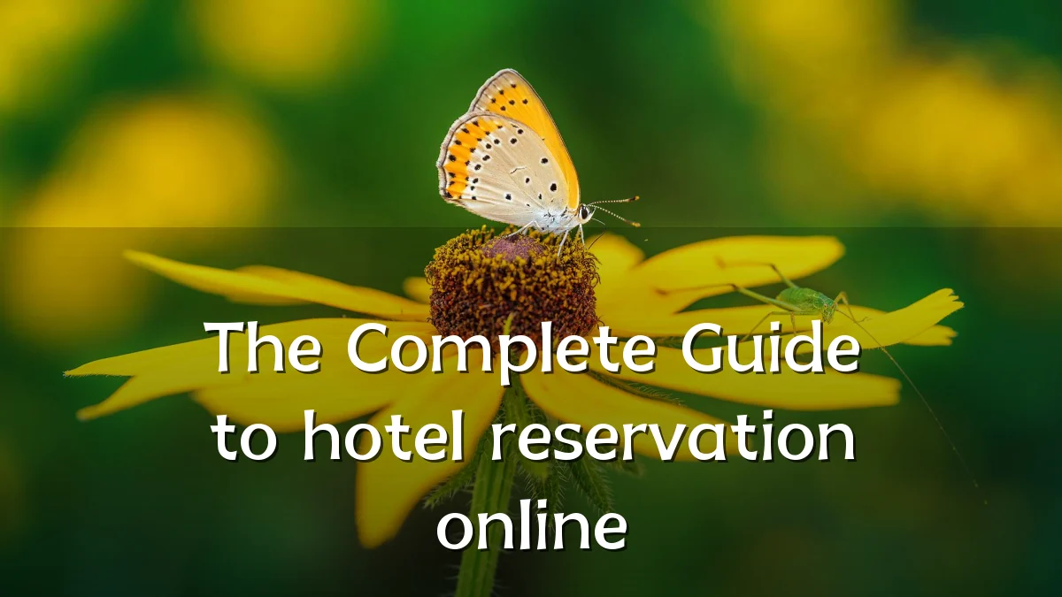 The Complete Guide to hotel reservation online