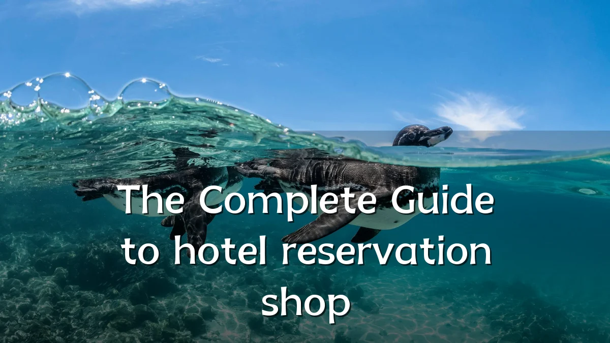 The Complete Guide to hotel reservation shop