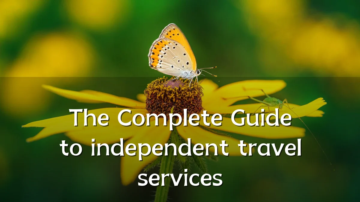 The Complete Guide to independent travel services