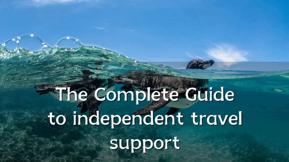 The Complete Guide to independent travel support