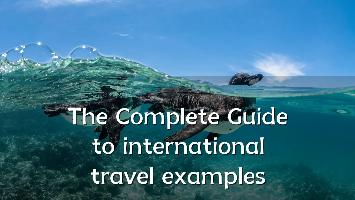 The Complete Guide to international travel examples