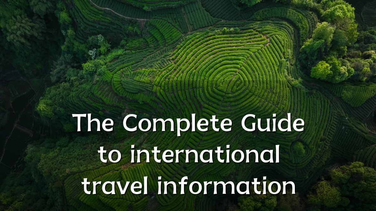 The Complete Guide to international travel information