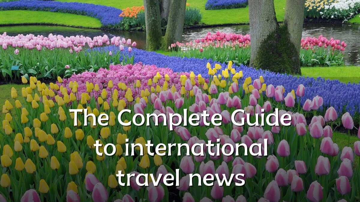 The Complete Guide to international travel news