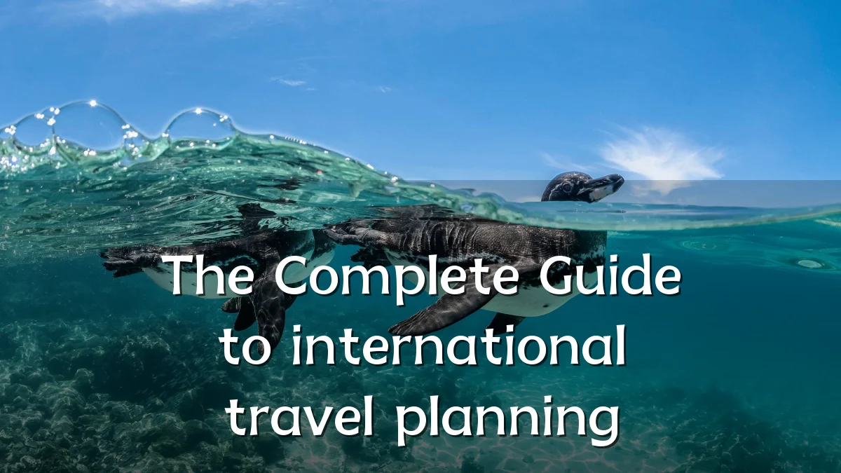 The Complete Guide to international travel planning