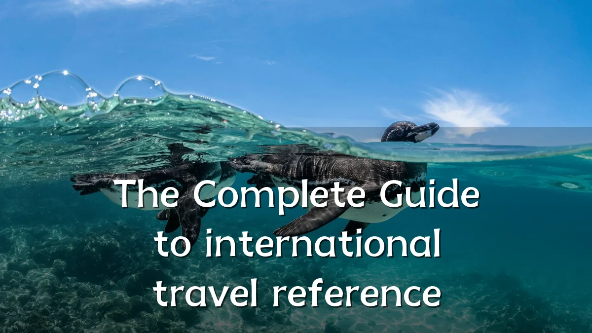 The Complete Guide to international travel reference