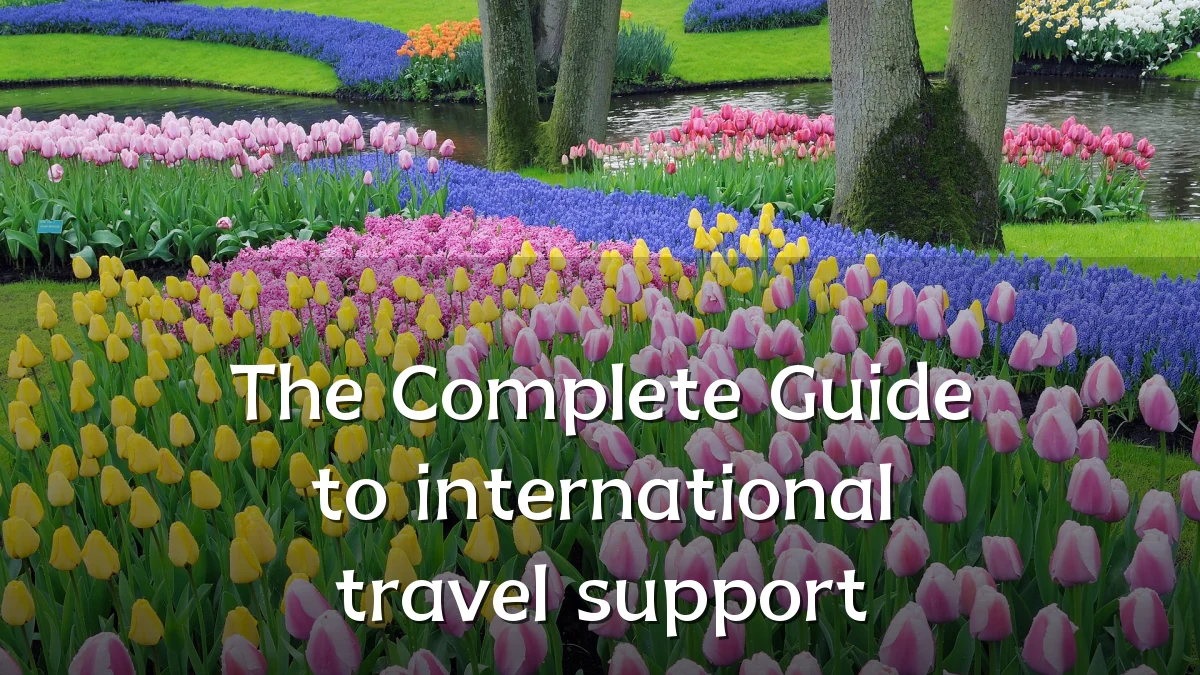 The Complete Guide to international travel support