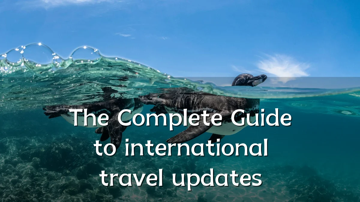 The Complete Guide to international travel updates