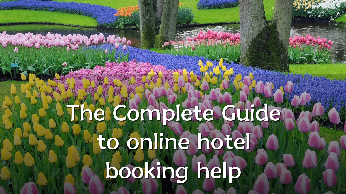 The Complete Guide to online hotel booking help
