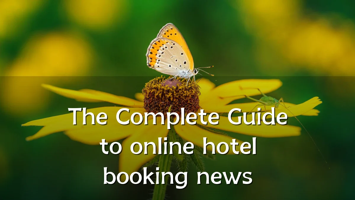 The Complete Guide to online hotel booking news