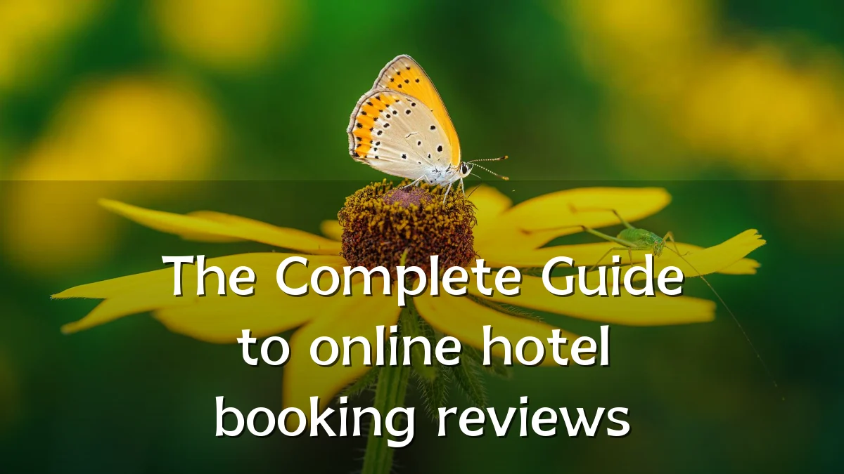 The Complete Guide to online hotel booking reviews