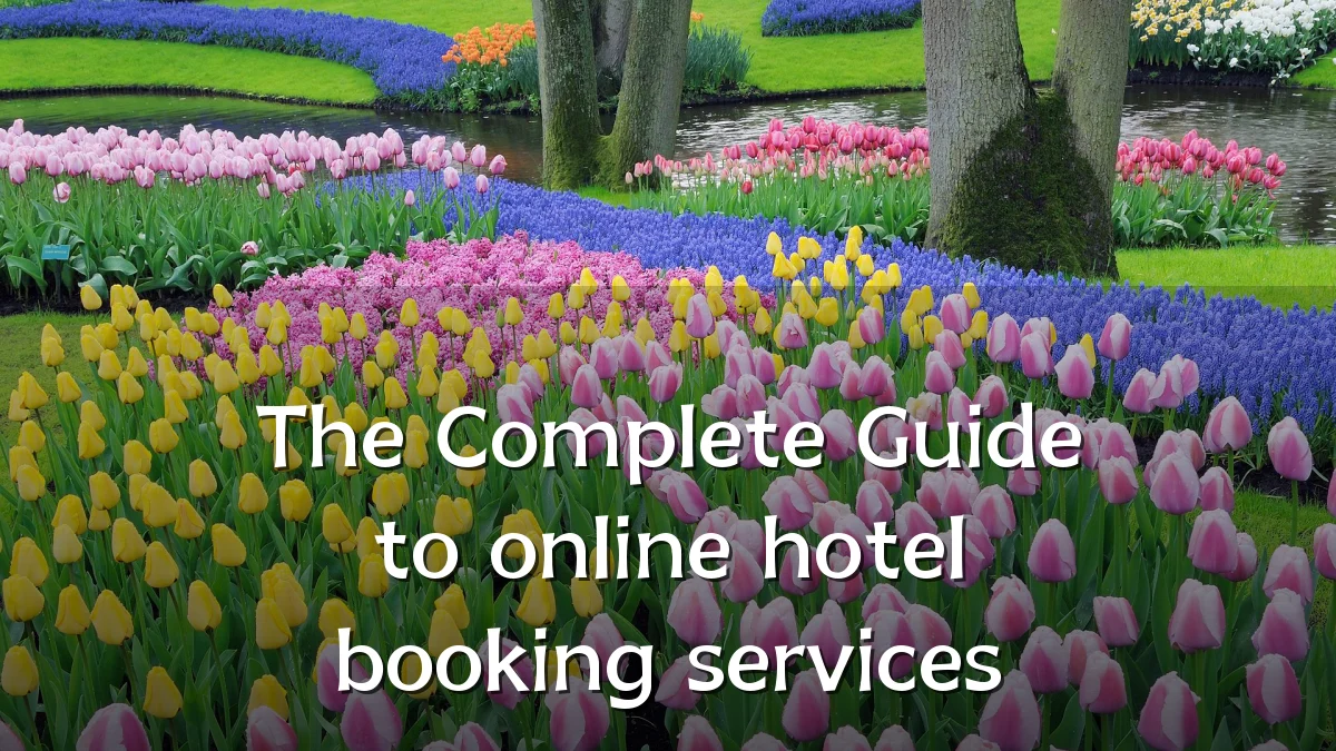 The Complete Guide to online hotel booking services