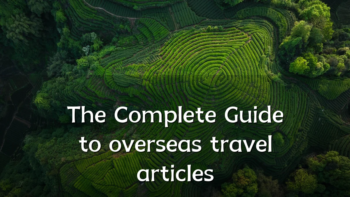 The Complete Guide to overseas travel articles