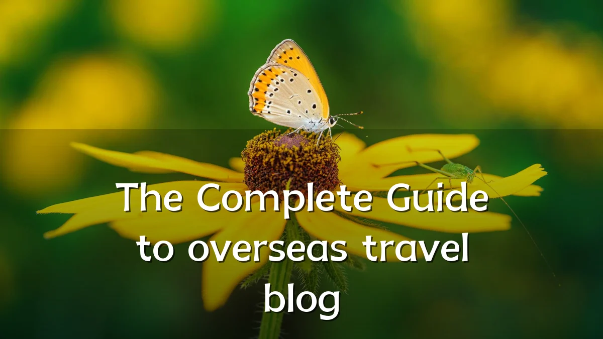The Complete Guide to overseas travel blog