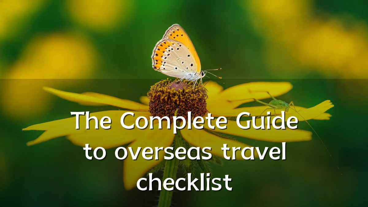 The Complete Guide to overseas travel checklist