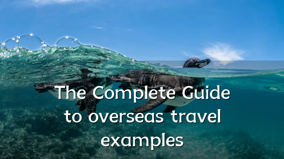 The Complete Guide to overseas travel examples