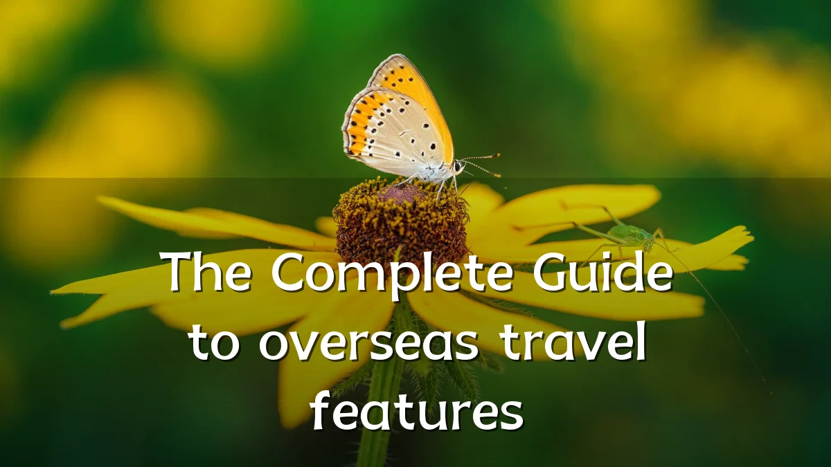 The Complete Guide to overseas travel features