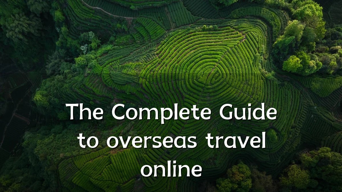 The Complete Guide to overseas travel online