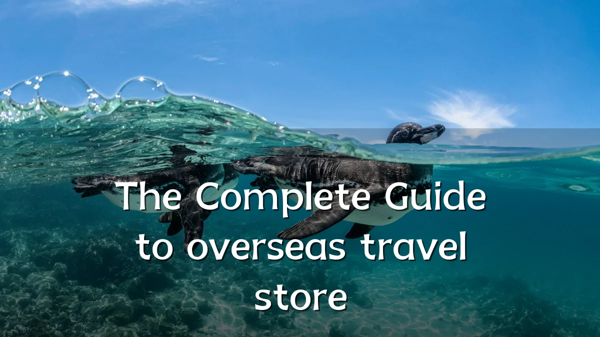 The Complete Guide to overseas travel store