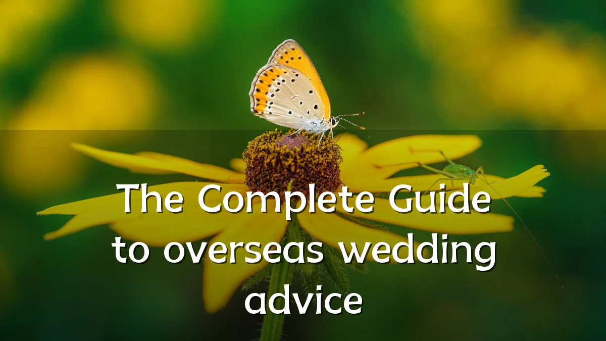 The Complete Guide to overseas wedding advice