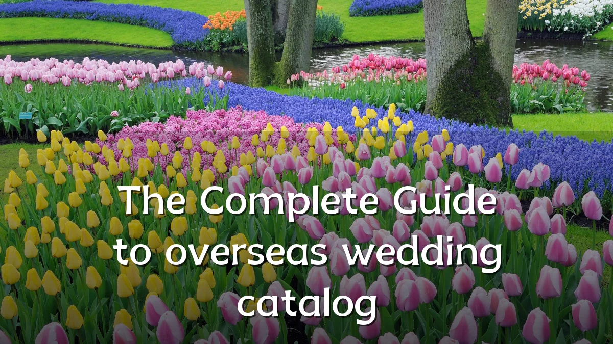 The Complete Guide to overseas wedding catalog