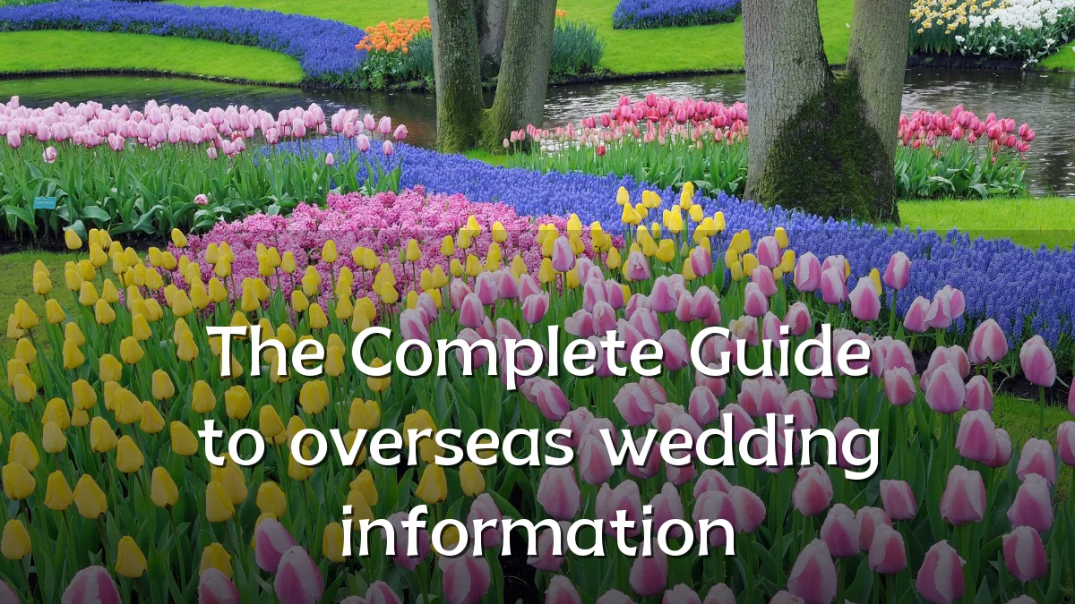 The Complete Guide to overseas wedding information