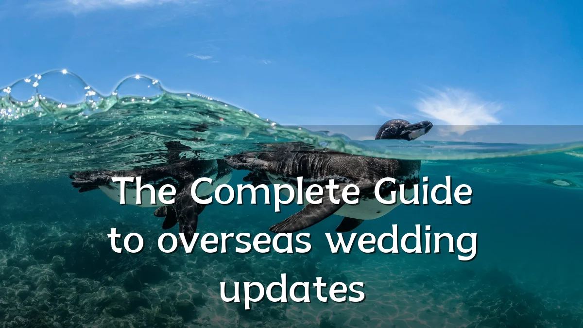 The Complete Guide to overseas wedding updates