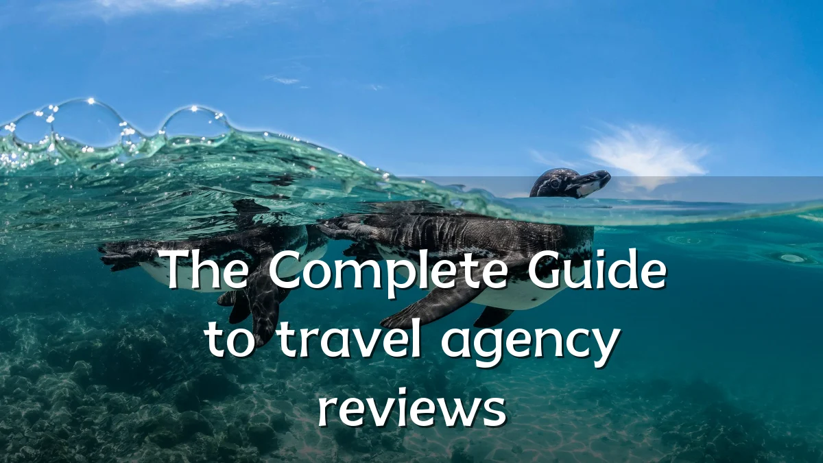 The Complete Guide to travel agency reviews
