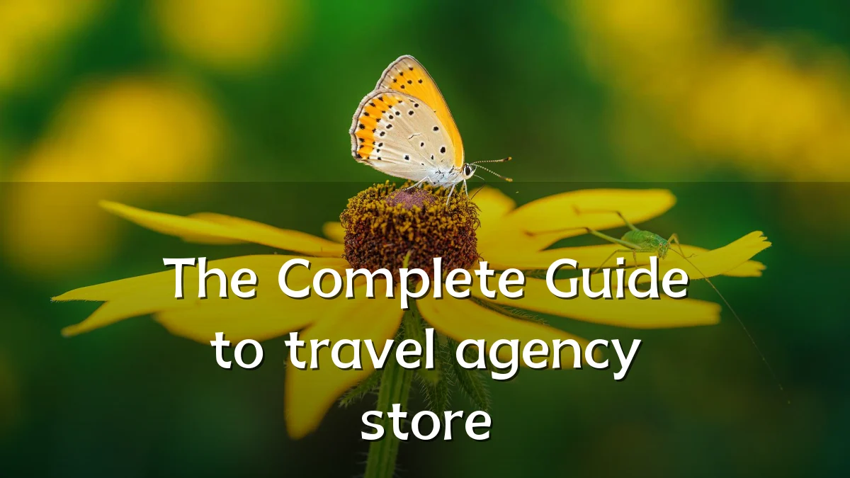 The Complete Guide to travel agency store