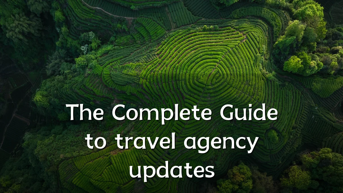 The Complete Guide to travel agency updates