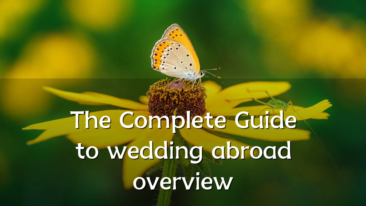 The Complete Guide to wedding abroad overview