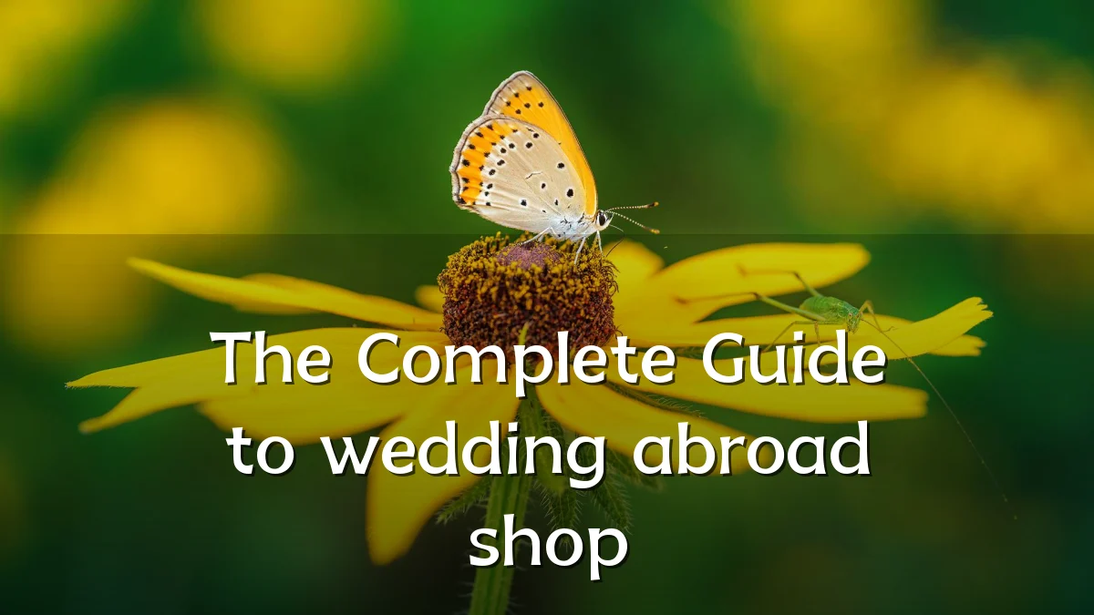 The Complete Guide to wedding abroad shop