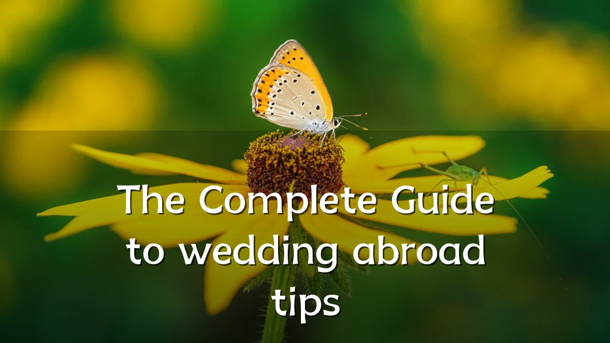 The Complete Guide to wedding abroad tips